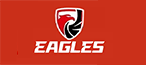 EANGLES Pro Tire changer  EANGLES Pro Tire changer